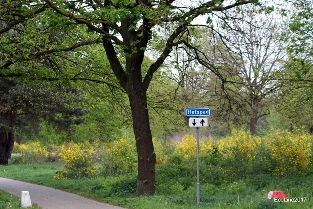 プッテン Huinerhofje 2 - Vrijstaand Met Grote Omheinde Tuin, Rust, Privacy En Nabij Bossenヴィラ エクステリア 写真