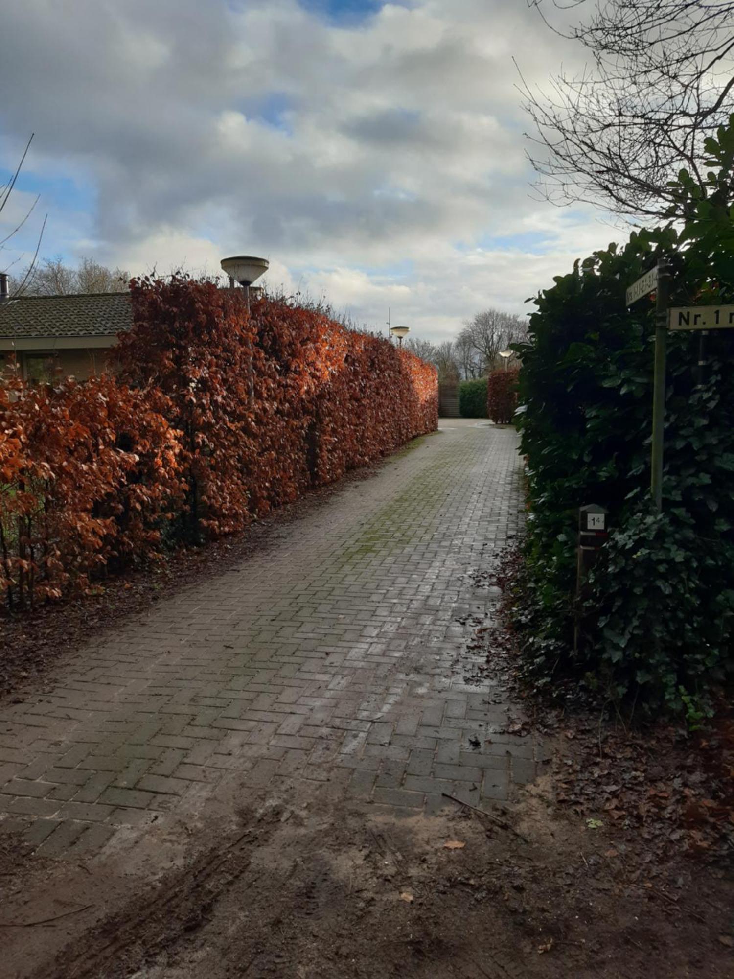 プッテン Huinerhofje 2 - Vrijstaand Met Grote Omheinde Tuin, Rust, Privacy En Nabij Bossenヴィラ エクステリア 写真